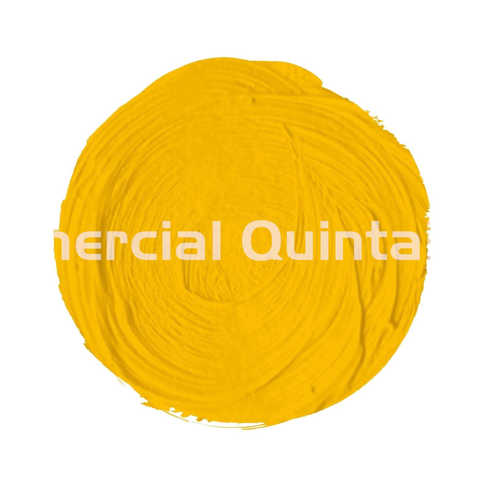 Óleo Titan Extrafino Amarillo Cadmio Medio (Nº 14) - Imagen 2