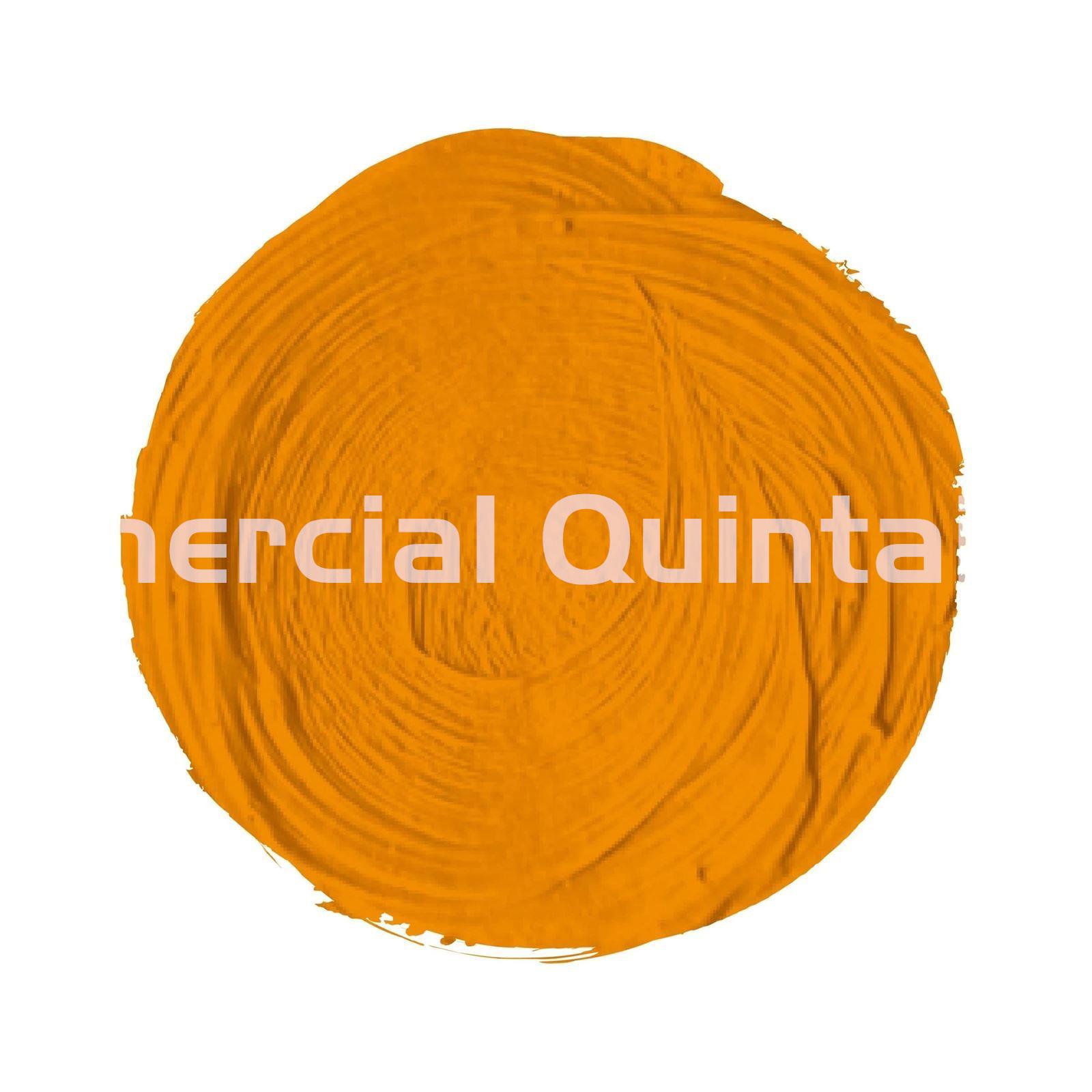 Óleo Titan Extrafino Amarillo Indio (Nº 25) - Imagen 2
