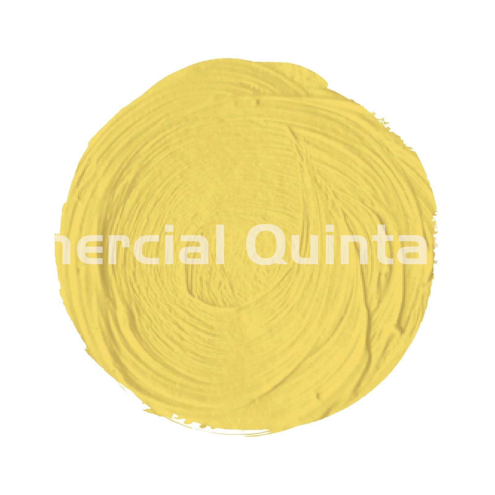 Óleo Titan Extrafino Amarillo Nápoles (Nº 8) - Imagen 2
