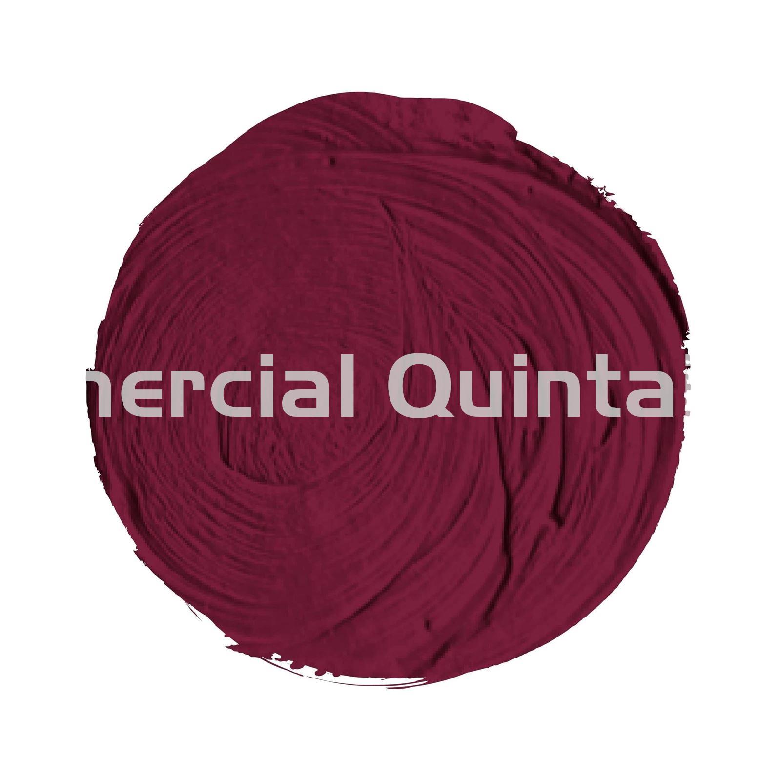 Óleo Titan Extrafino Carmín Garanza Sólido Oscuro (Nº 39) - Imagen 2